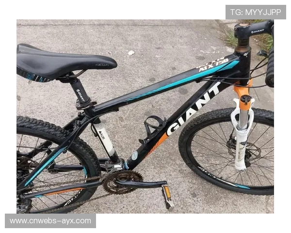 两轮车迷节鸿基伟业冠名山地车越野赛,突出产品坚固耐用特性 两轮车迷节鸿基伟业冠名山地车越野赛,突出产品坚固耐用特性