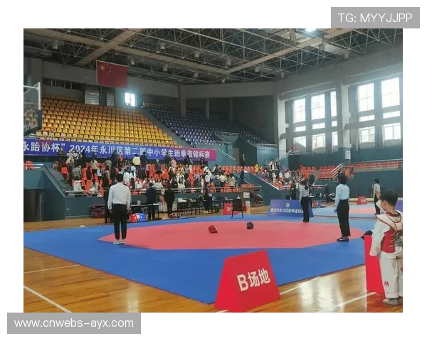 九年办赛历程,“跆协杯”成为地方传统体育品牌项目。 九年办赛历程,“跆协杯”成为地方传统体育品牌项目。