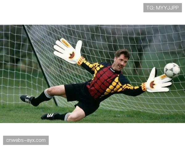 “通讯:门将的传承,皮克福德在古迪逊公园的第三百场”